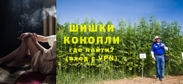 ГАЛЛЮЦИНОГЕННЫЕ ГРИБЫ Баксан