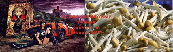 apvp Балабаново
