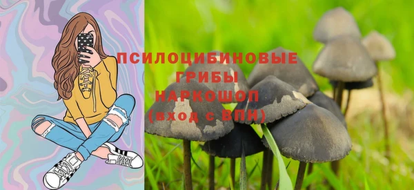 apvp Балабаново